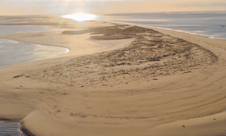 Excursion Arcachon